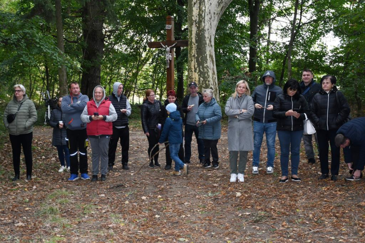 Őszi koncert az erdő tiszteletére – a zene világnapján Szanyban
