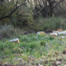 Gátlástalan emberek szennyezik a Nemzeti Park környezetét