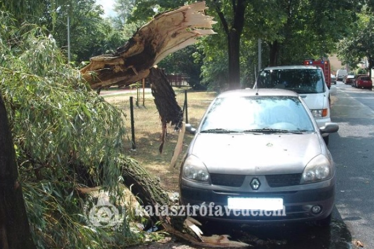 A viharos szél fákat döntött, 15 helyszínre vonultak a tűzoltók