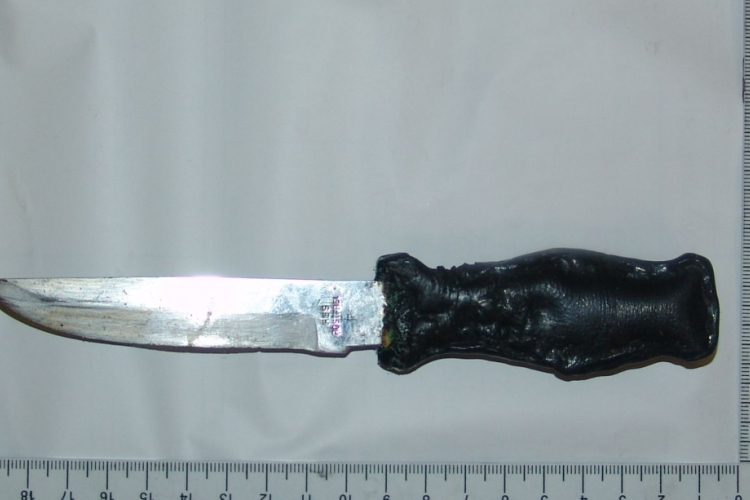 Egy konyhakéssel szúrta mellkason ivócimboráját