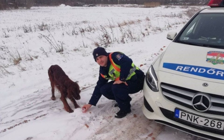 A biztos fagyhaláltól mentették meg Csornán a rendőrök az elkóborolt kutyát