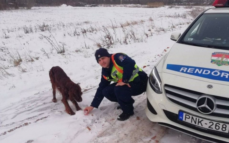 A biztos fagyhaláltól mentették meg Csornán a rendőrök az elkóborolt kutyát