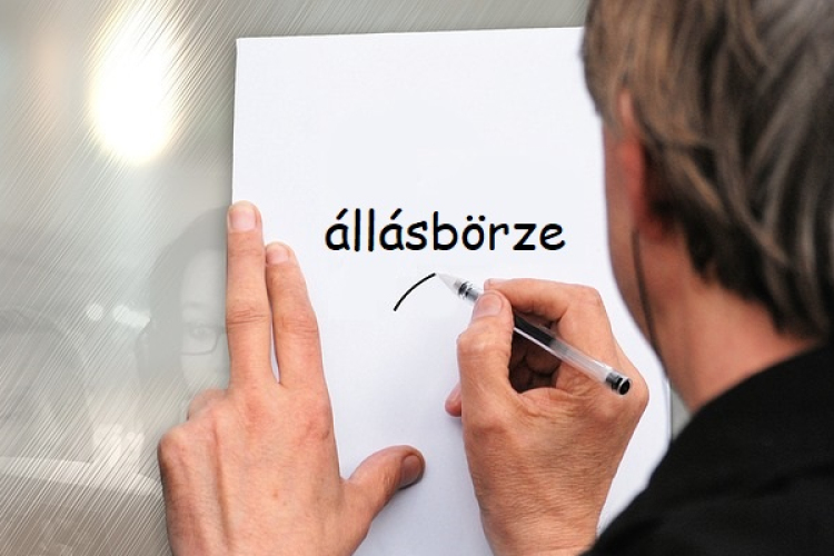 Állásbörze Csornán és Kapuváron