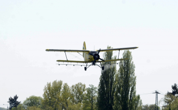 Már csak kevés helyen kell gyéríteni a szúnyogokat