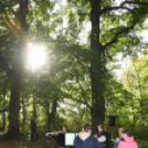 Őszi koncert az erdő tiszteletére – a zene világnapján Szanyban