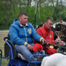 Fogathajtó verseny Bágyogszováton