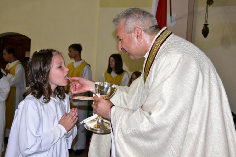 Elsőáldozás Szanyban.