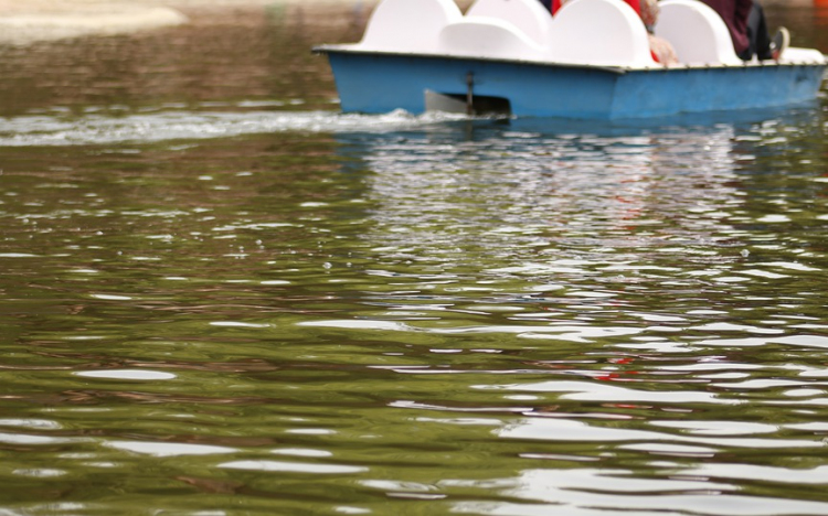 A Velencei-tó kritikus vízszintjének javításán dolgozik a vízügy