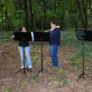 Őszi koncert az erdő tiszteletére – a zene világnapján Szanyban