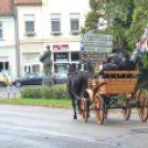 Szeretlek, Kapuvár!