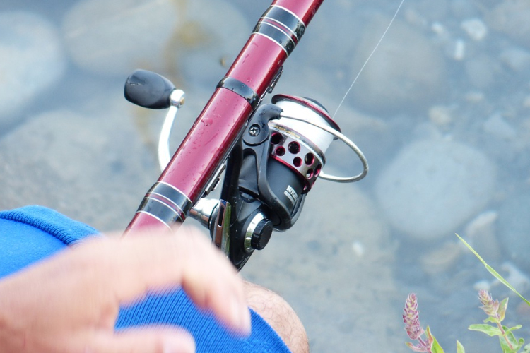 Új horgász rend a Fertő-tavon