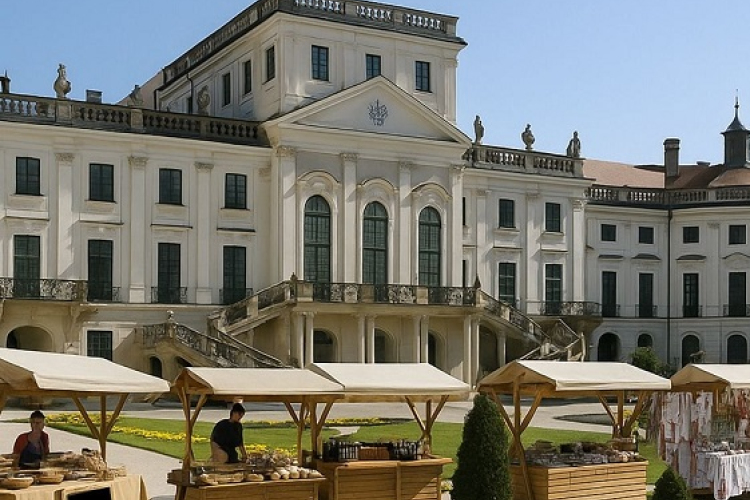 Eszterházy forgatag