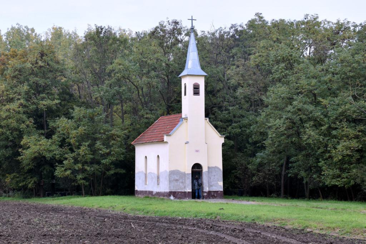 Szent Vendel napi búcsú Szanyban