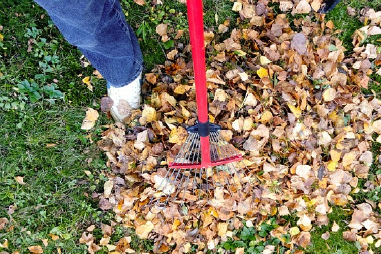 Szombaton segítő kezeket várnak Bősárkányban a Kissárga szabadidőtóhoz