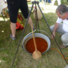 Fertőszentmiklós Pünkösdi Fesztivál