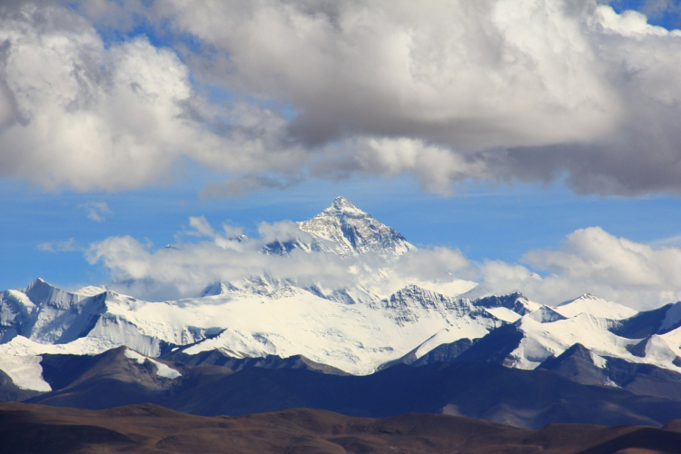 Egyre több növény él a Mount Everest térségében