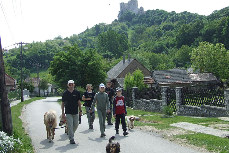 Tizedik No motor Cseszneken
