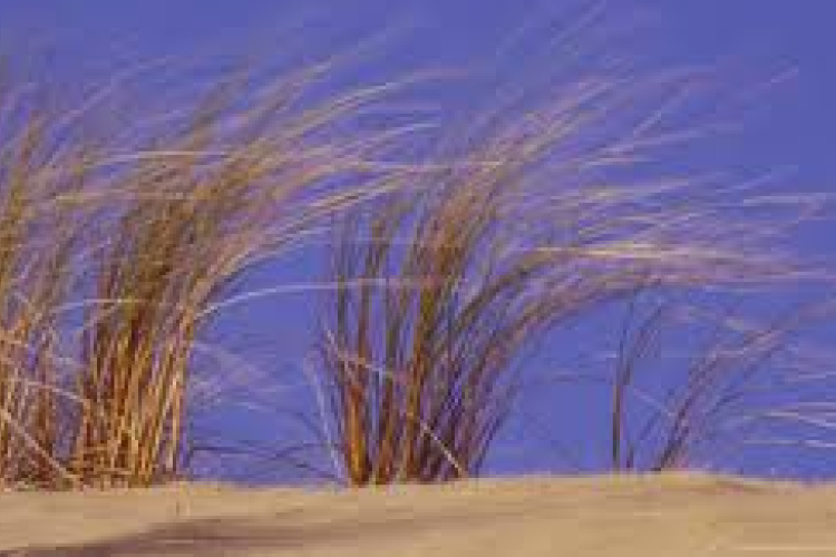 Csapadékos, szeles lesz a hétvége