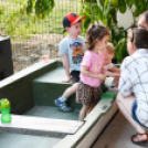 Pünkösdi piknik Rábasebesen. (2026. 05. 23.)