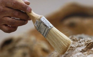 Eddig ismeretlen emberszabású maradványaira bukkantak egy ősi kínai sírban