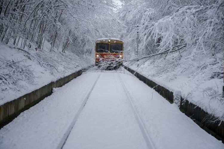 Havazás - több vonalon akadályozzák a vonatforgalmat a sínekre dőlt fák