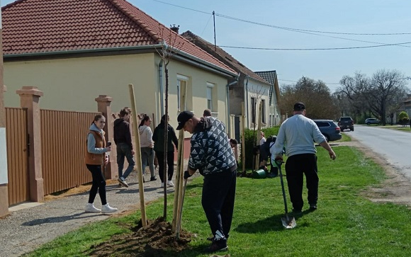 Társadalmi munka Barbacson