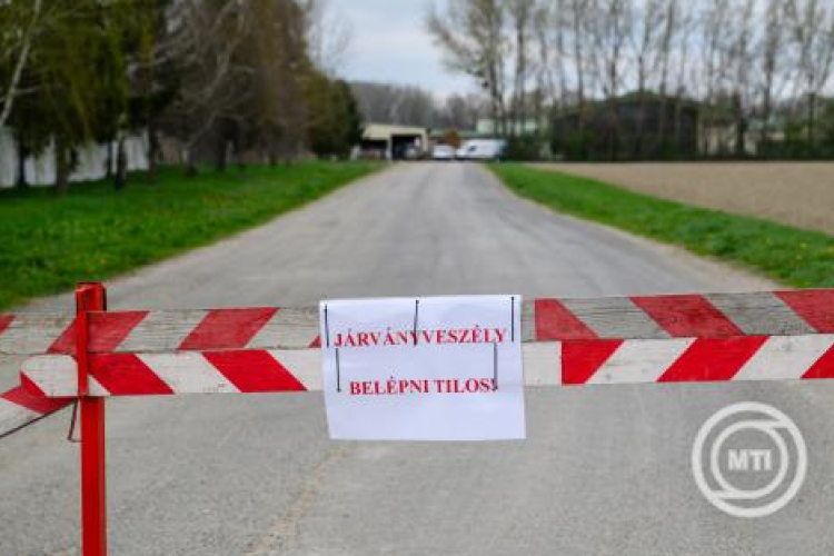 A Magyar Honvédség fertőtlenítési feladatokat lát el száj- és körömfájás betegséggel érintett helyeken