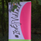 Őszi koncert az erdő tiszteletére – a zene világnapján Szanyban