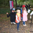 Őszi koncert az erdő tiszteletére – a zene világnapján Szanyban