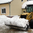 Szanyban sem ette meg a kutya a telet