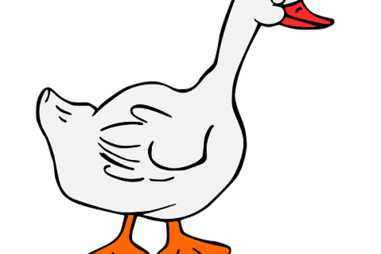 Kistatai libakergető