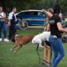 Falunap Vág Községben. (2025. 09. 13.)