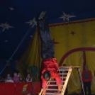 A Richter Cirkusz előadása Szanyban