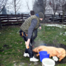 Sertést vágtak a Szany SE. labdarúgói.