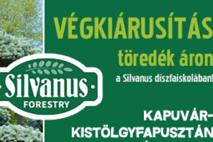 Végkiárusítás a Silvanus díszfaiskolában!