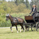 Árpási Fogathajtó Verseny
