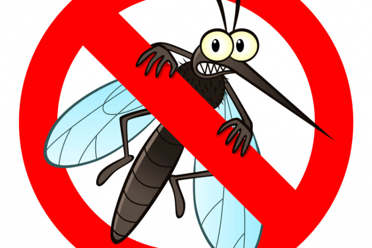 OKF: hét vármegyében gyérítik a szúnyogokat