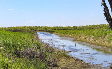 Bárki segíthet feltérképezni kiszáradó vizeinket 