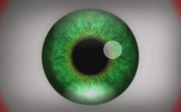 Videó, ami mindenkinek hallucinációt okoz