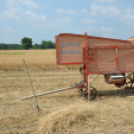 Hagyományos aratófesztivál Szilban