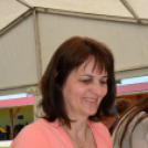 Falunap Rábaszentandráson