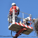 Gólya fesztivál Szanyban. (2024. 06. 15.)