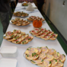A teremtett világ szépségét ünnepelték Szanyban