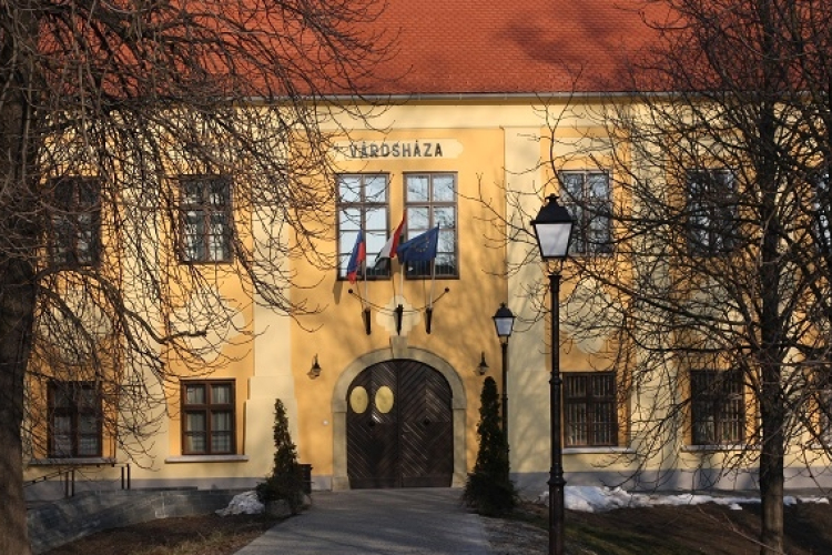 Felülvizsgálják Kapuvár esélyegyenlőségi programját 