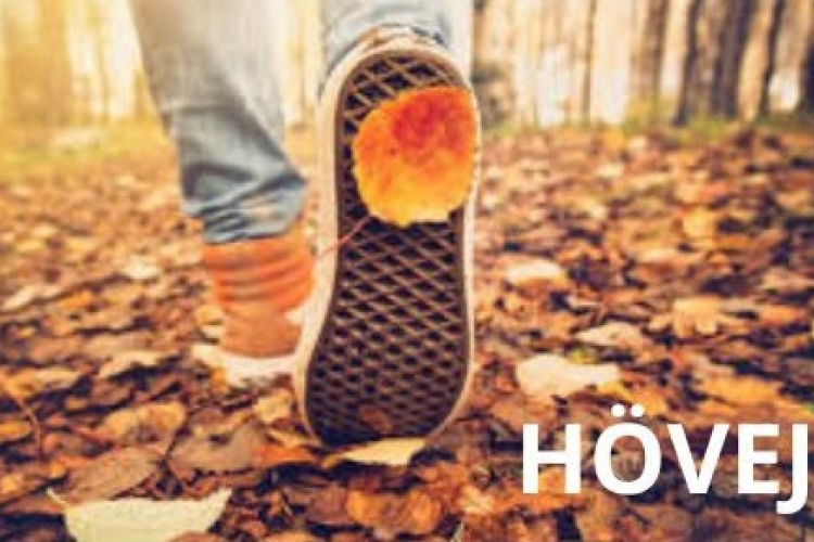 Berek-kergető túra és Föld napi pályázat Hövejen