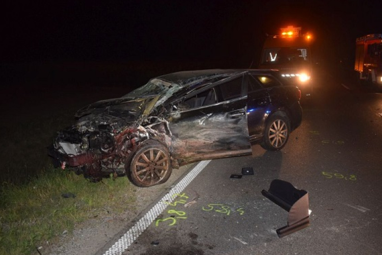 Egy nap alatt két vadelütés okozott súlyos baleseteket a 85-ös és a 86-os főutakon