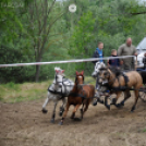 Fogathajtó verseny Bágyogszováton