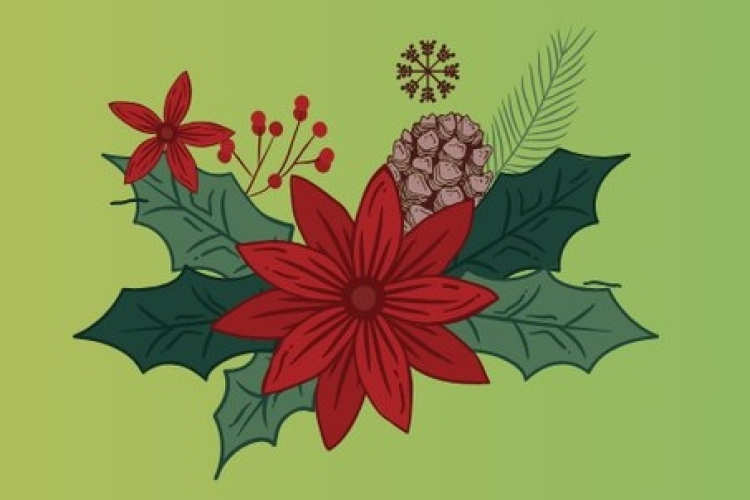 Adventi ablakok Csapodon