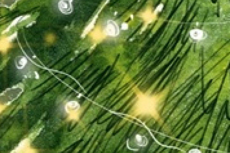 Adventi programok Rábatamásiban