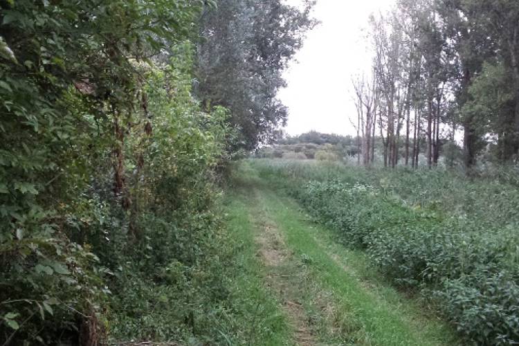 Hansági emléktúrát szerveznek vasárnap az 1956-os forradalom emlékére